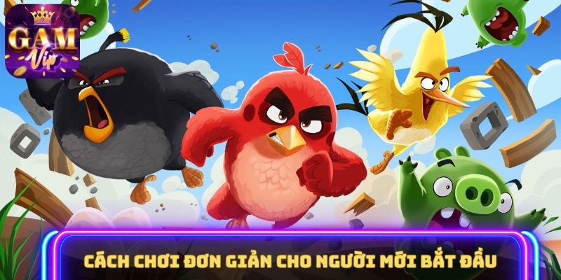 Cách chơi đơn giản cho người mới bắt đầu