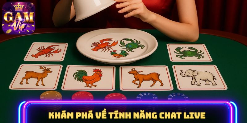 Khám phá về tính năng Chat Live 