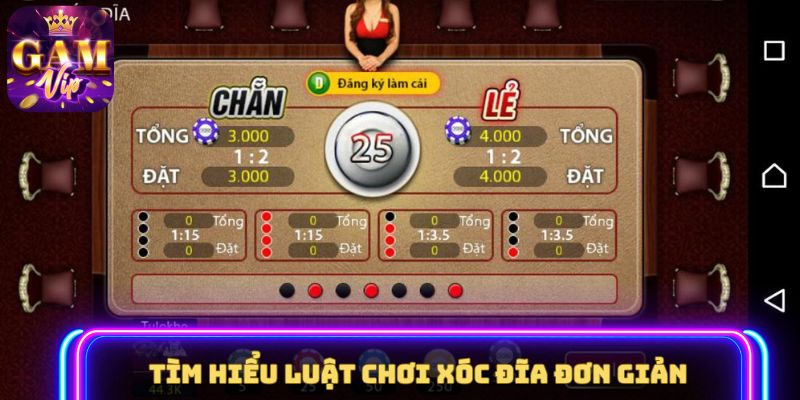 Tìm hiểu về kỹ thuật soi cầu nhịp dài 